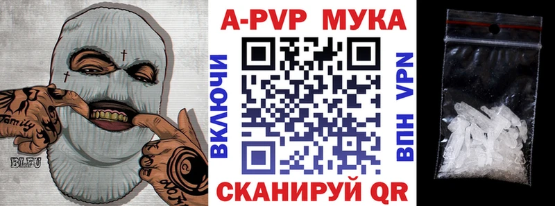 APVP СК  OMG как зайти  Удачный 