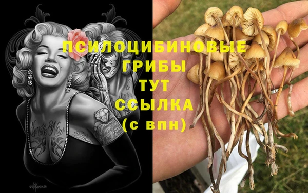 каннабис Алексеевка