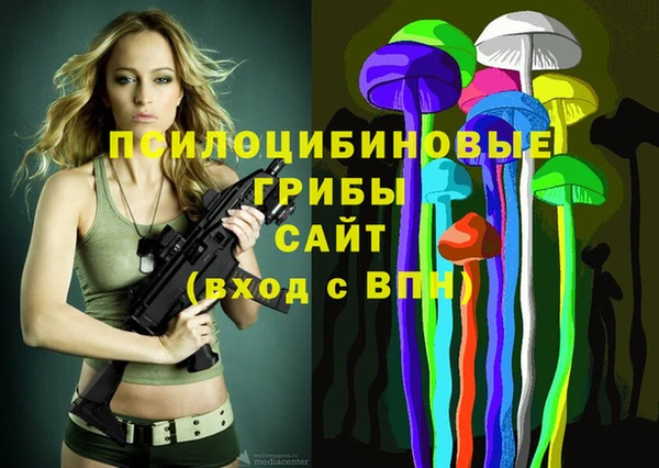 мескалин Алексин