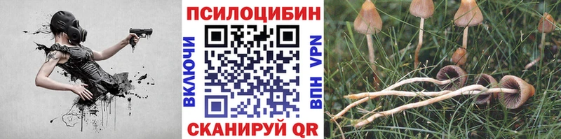 кракен ССЫЛКА  где найти наркотики  Удачный  Псилоцибиновые грибы ЛСД 